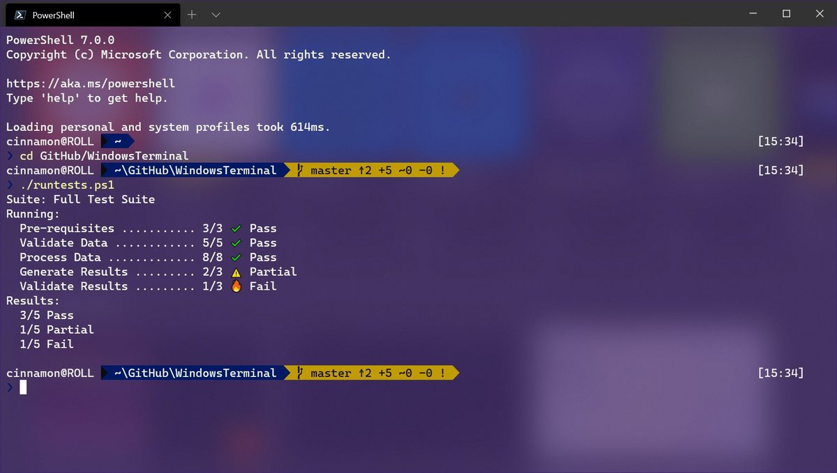 Screenshot of Windows terminal.