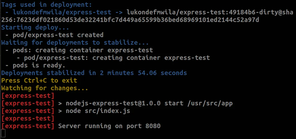 Skaffold Dev Command Output