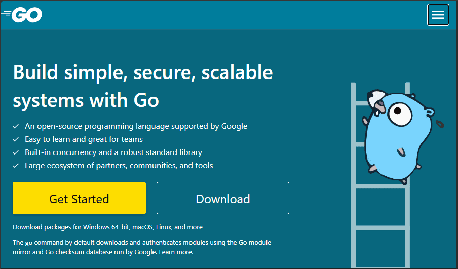 Screenshot of Golang homepage